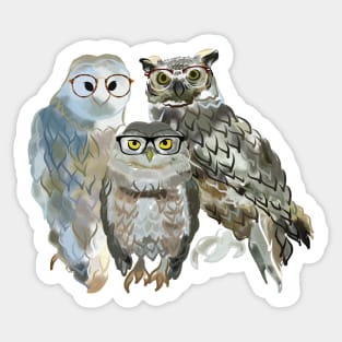 Smart as an Owl Sticker